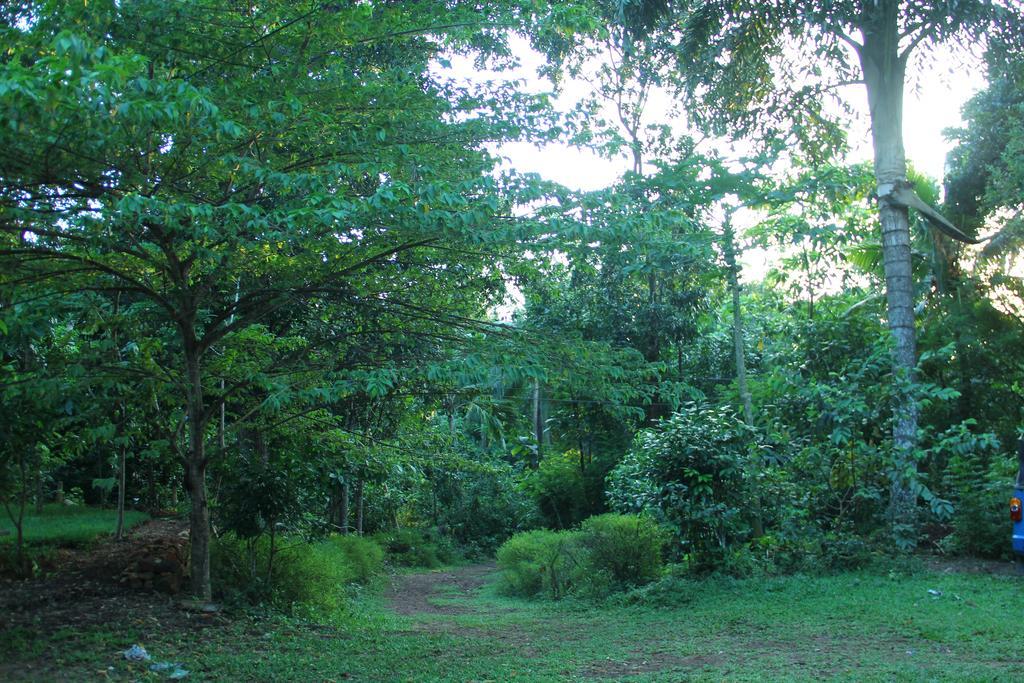 Abberny Villa Midigama East Habitación foto